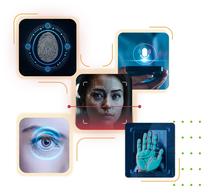 BioQube Inc.